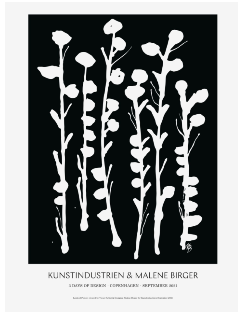 ABSTRACT FLOWERS-POSTER 3